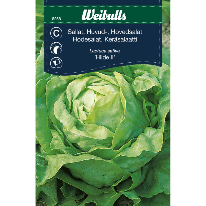 Hovedsalat 'Hirlo'